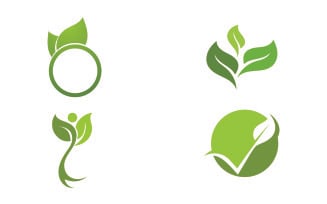 Leaf eco green tree logo nature template design v37
