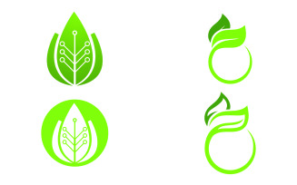Leaf eco green tree logo nature template design v43