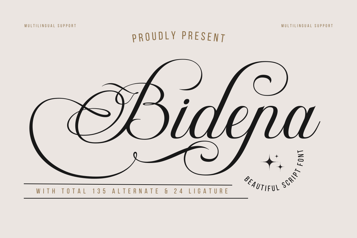 Bidena | Perfect Script Font