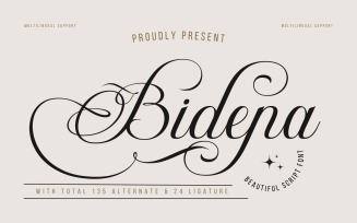 Bidena | Perfect Script Font
