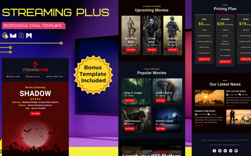 Streaming Plus – Responsive Email Template Newsletter Template