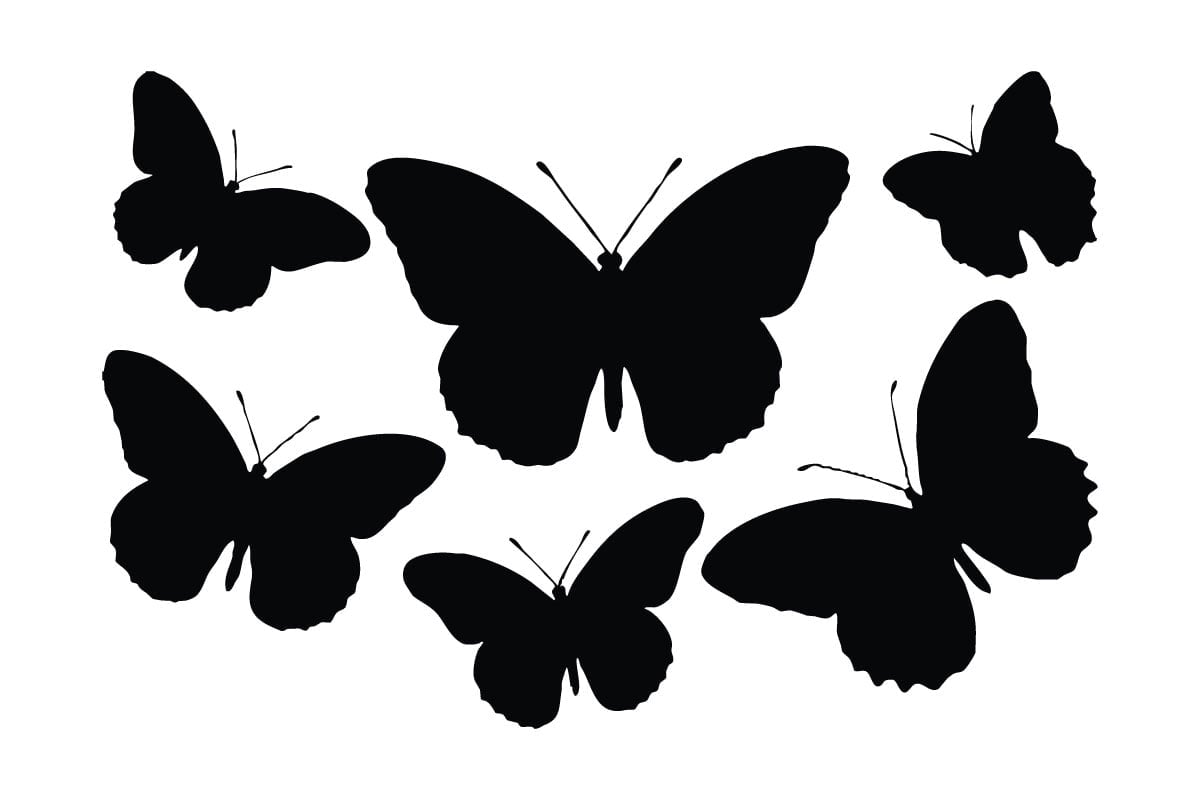 Kit Graphique #334255 Monarch Papillon Divers Modles Web - Logo template Preview