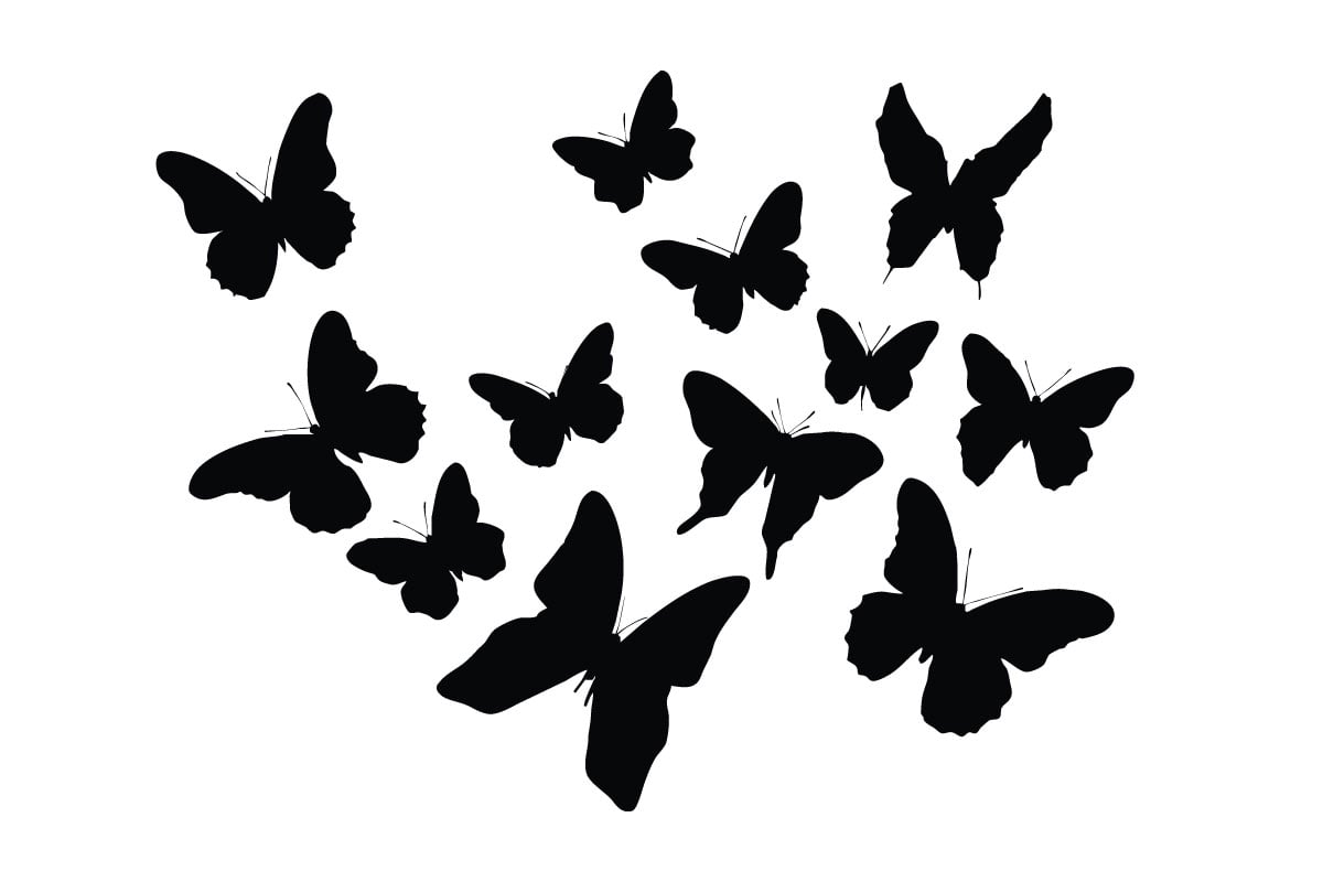 Kit Graphique #334257 Monarch Papillon Divers Modles Web - Logo template Preview