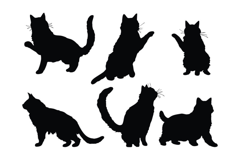 Cat standing in different positions Illustration