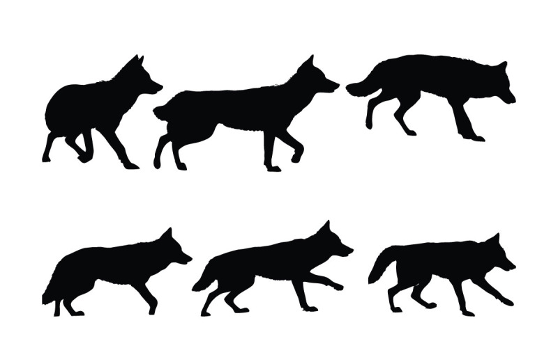 Coyote wolf walking silhouette bundle Illustration