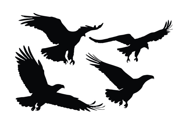 Eagle hunting silhouette set vector Illustration
