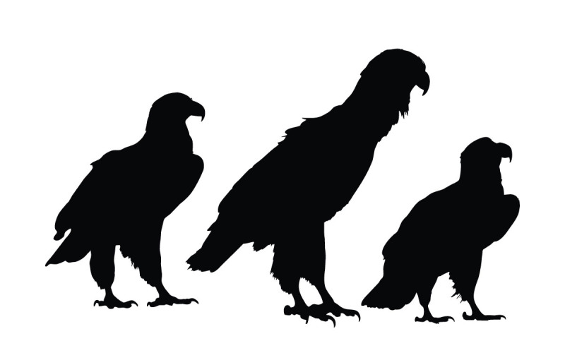 Eagle sitting silhouette collection Illustration