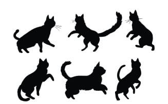 Feline in different positions silhouette
