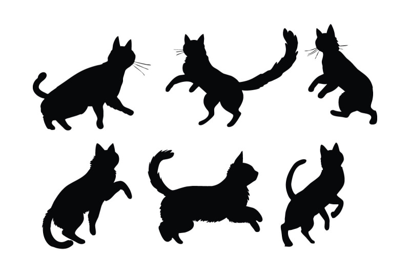 Feline in different positions silhouette Illustration