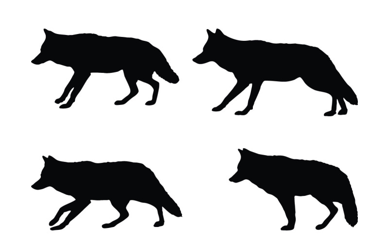 Wild coyote silhouette collection vector Illustration