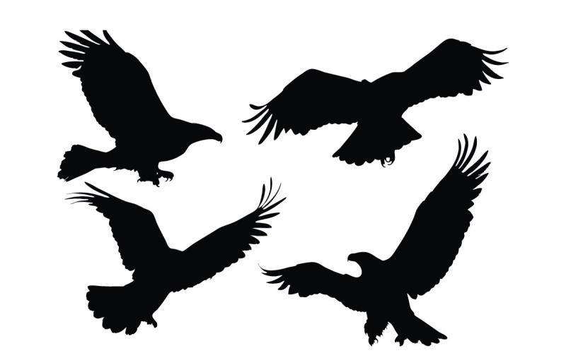 Wild eagle flying silhouette set vector Illustration