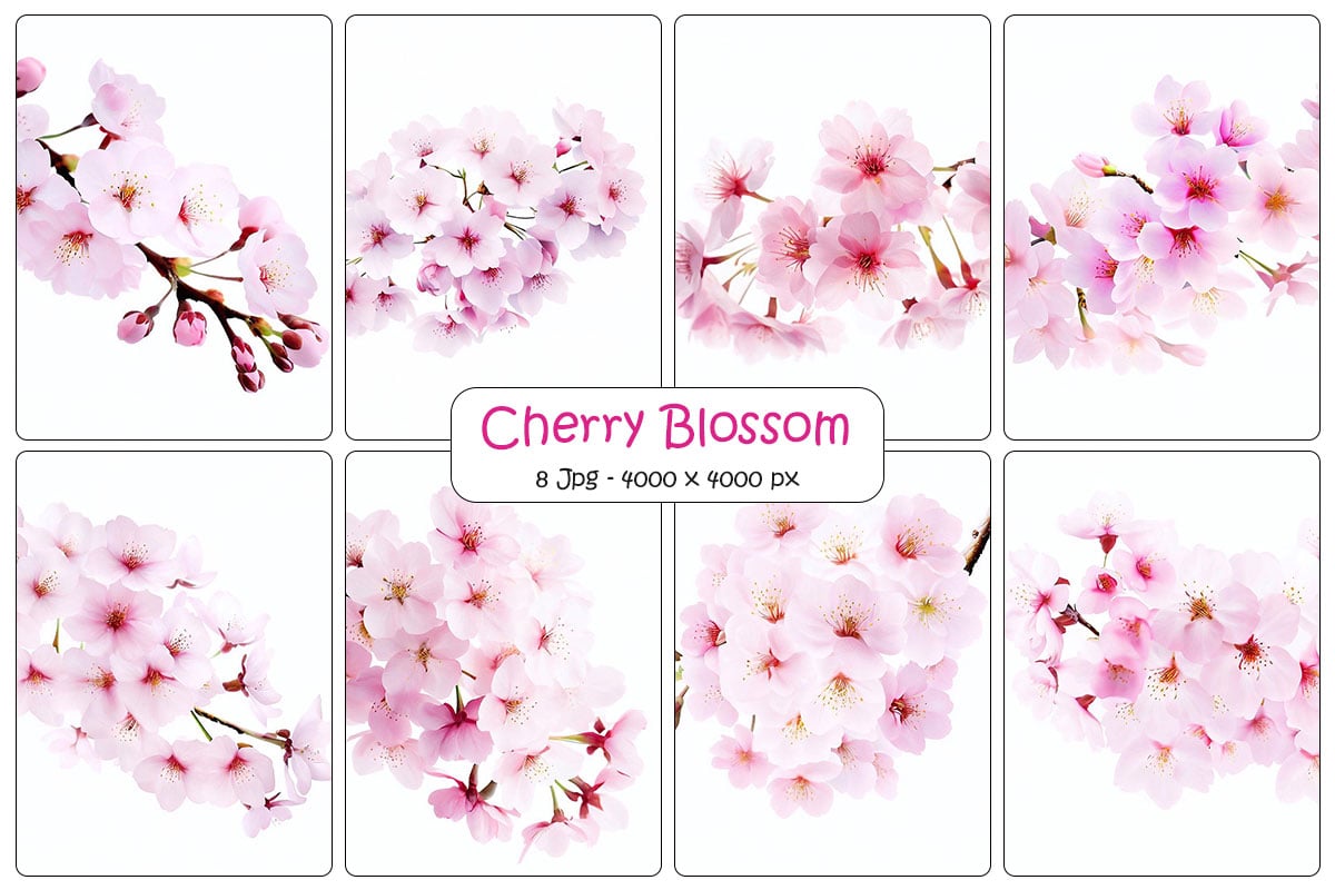 Template #334470 Blossom Floral Webdesign Template - Logo template Preview