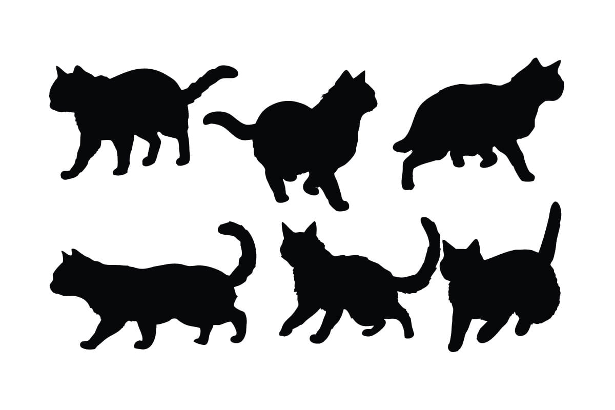 Kit Graphique #334498 Cat Symbol Divers Modles Web - Logo template Preview