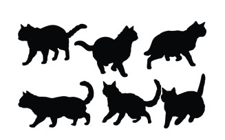 Home cat in different positions vector