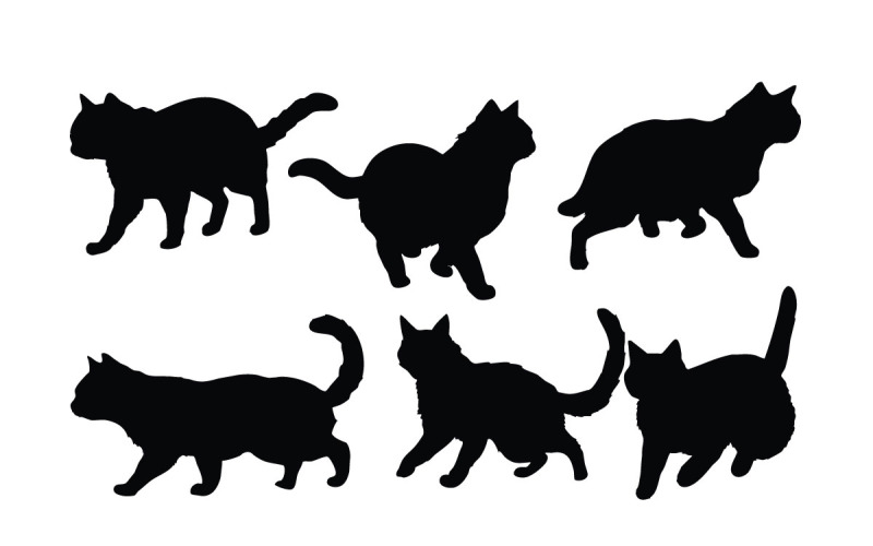 Home cat in different positions vector Illustration