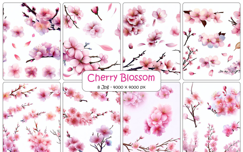Cherry blossom branch with sakura pink flower background Background