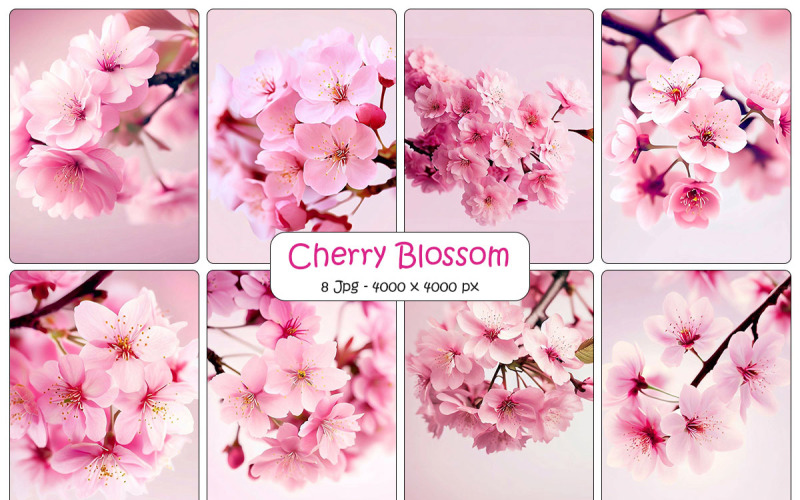 Realistic cherry blossom branch background and beautiful pink sakura flowers digital paper Background