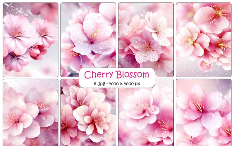 Realistic cherry blossom branch background and beautiful sakura flowers and falling petals Background