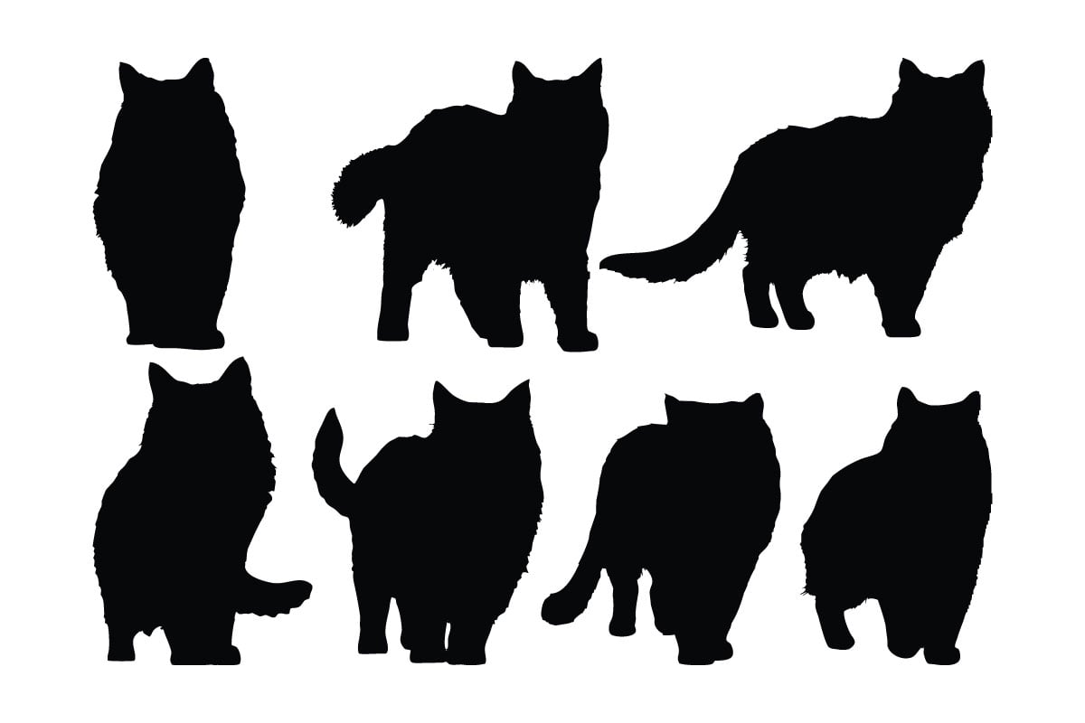 Kit Graphique #334957 Cat Symbol Divers Modles Web - Logo template Preview
