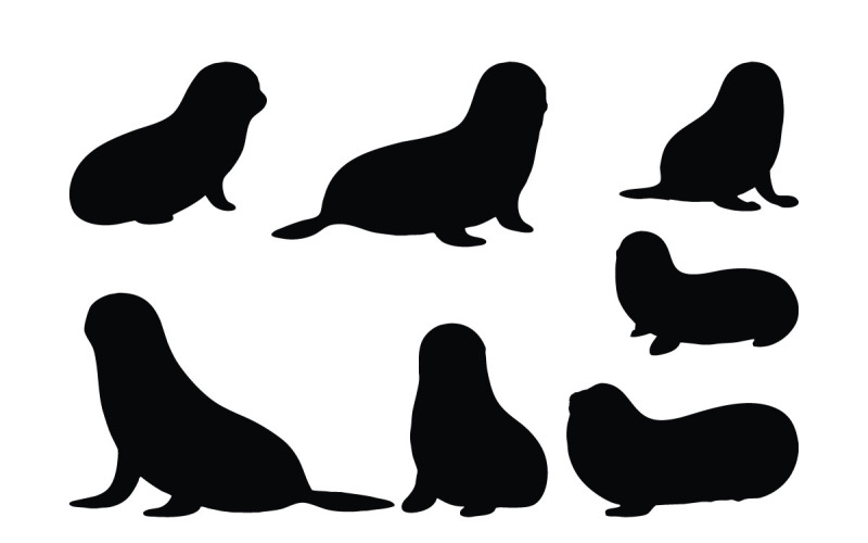 Sea seals silhouette vector collection Illustration