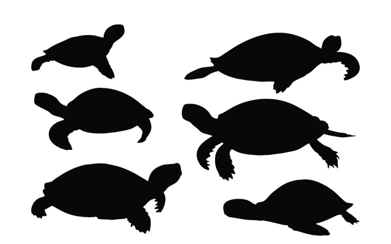 Sea turtles in different position vector Illustration