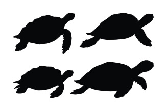 Turtle swimming in different positions