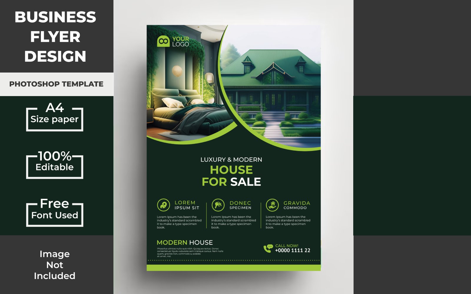 Template #335021 Flyer Graphics Webdesign Template - Logo template Preview