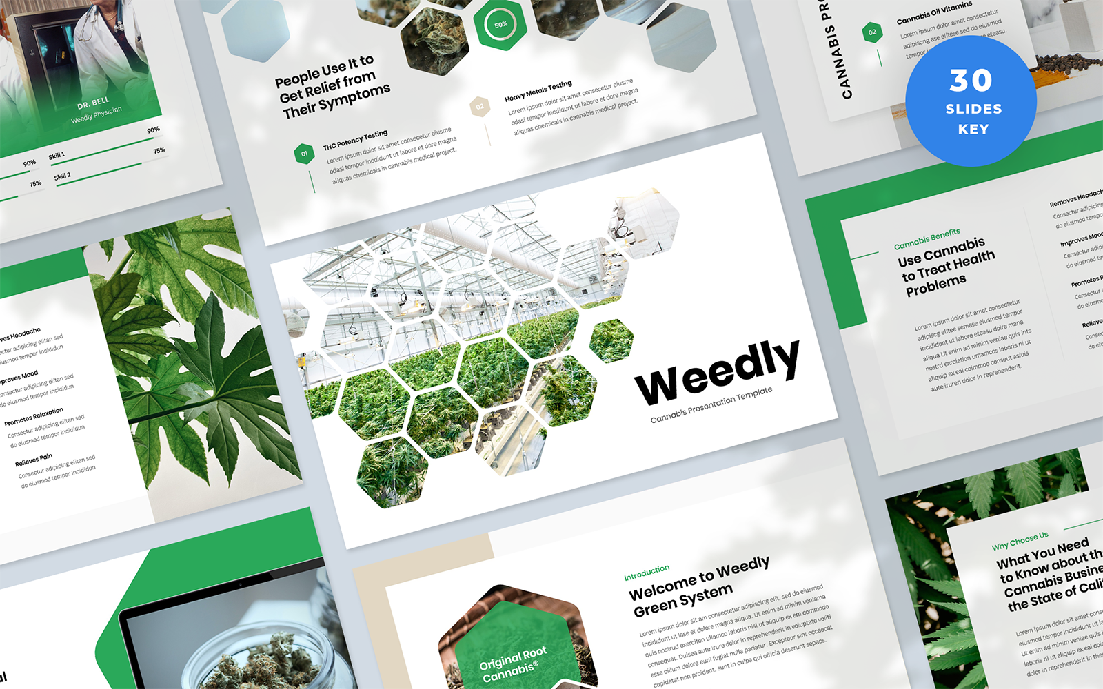Kit Graphique #335174 Cannabis Cannabis Divers Modles Web - Logo template Preview