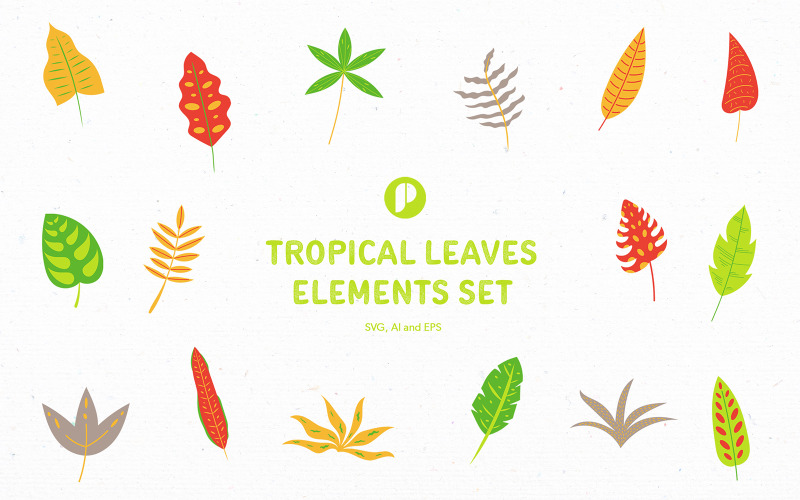 Tropical Leaves Elements Set Illustration