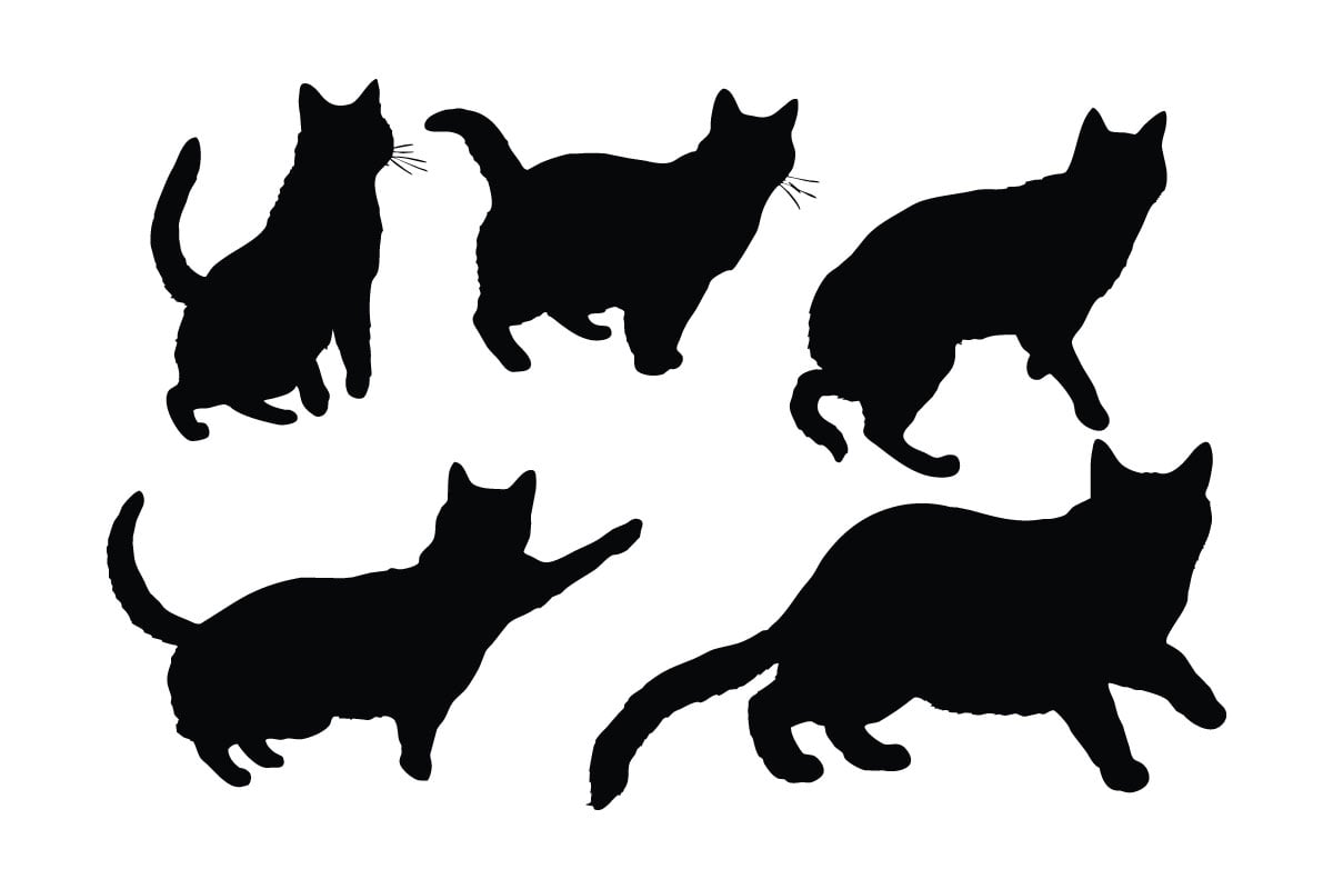 Kit Graphique #335910 Cat Symbol Divers Modles Web - Logo template Preview