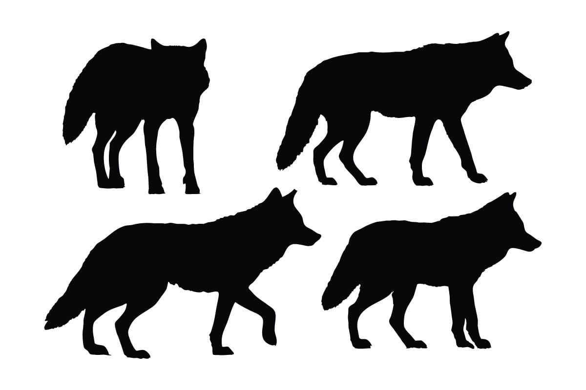 Kit Graphique #335919 Vecteur Coyote Web Design - Logo template Preview