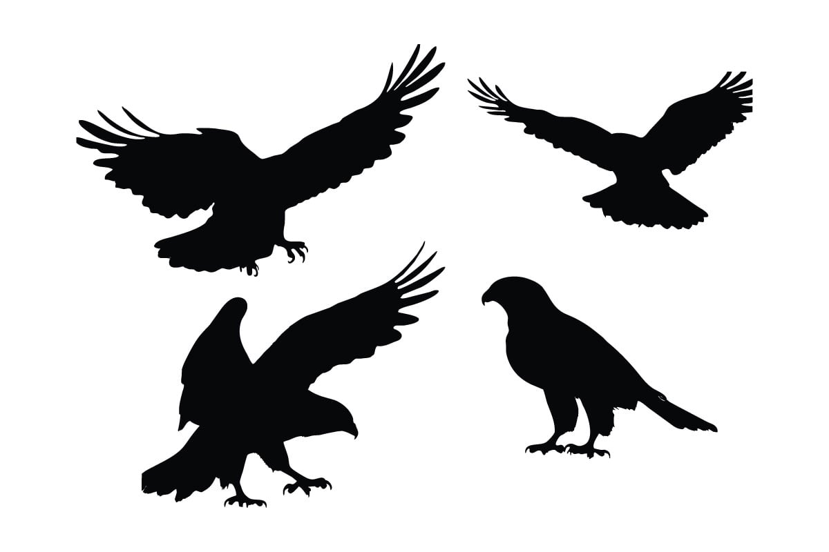 Kit Graphique #335931 Nature Hawk Divers Modles Web - Logo template Preview