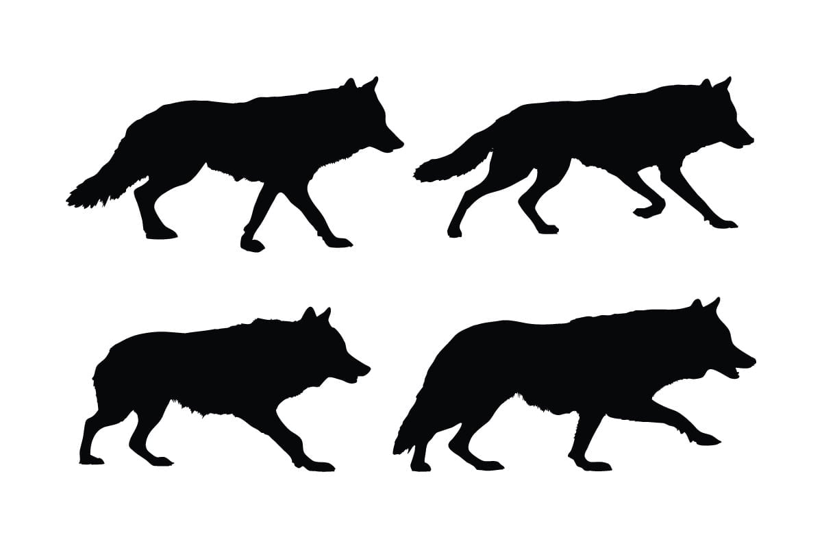 Kit Graphique #335941 Wolf Vecteur Divers Modles Web - Logo template Preview