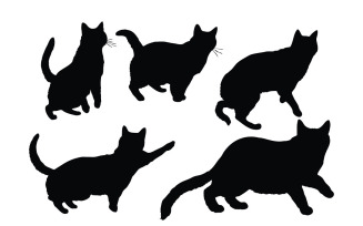 Cat in different positions silhouette
