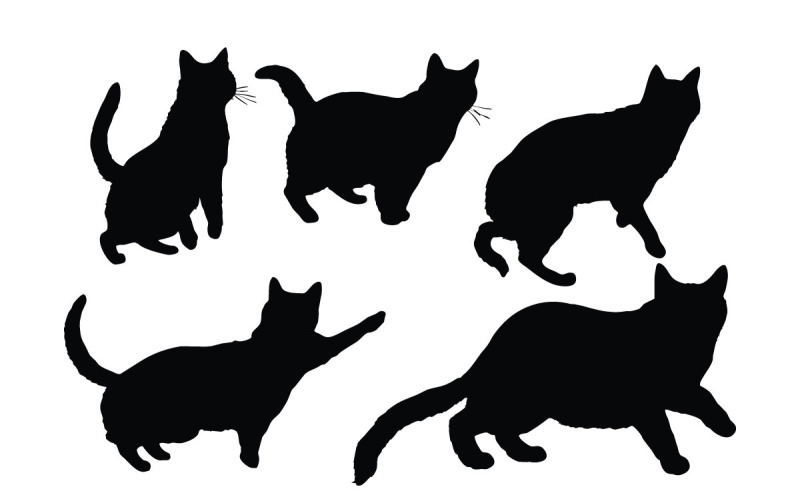 Cat in different positions silhouette Illustration