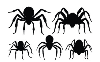 Spider sitting silhouette collection