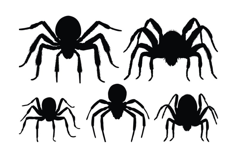 Spider sitting silhouette collection Illustration