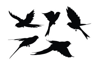 Swallows bird silhouette collection
