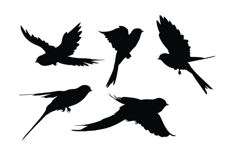 Swallows bird silhouette collection Illustration