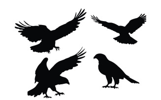 Wild falcon and hawk flying silhouette
