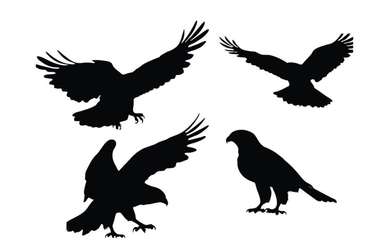 Wild falcon and hawk flying silhouette Illustration