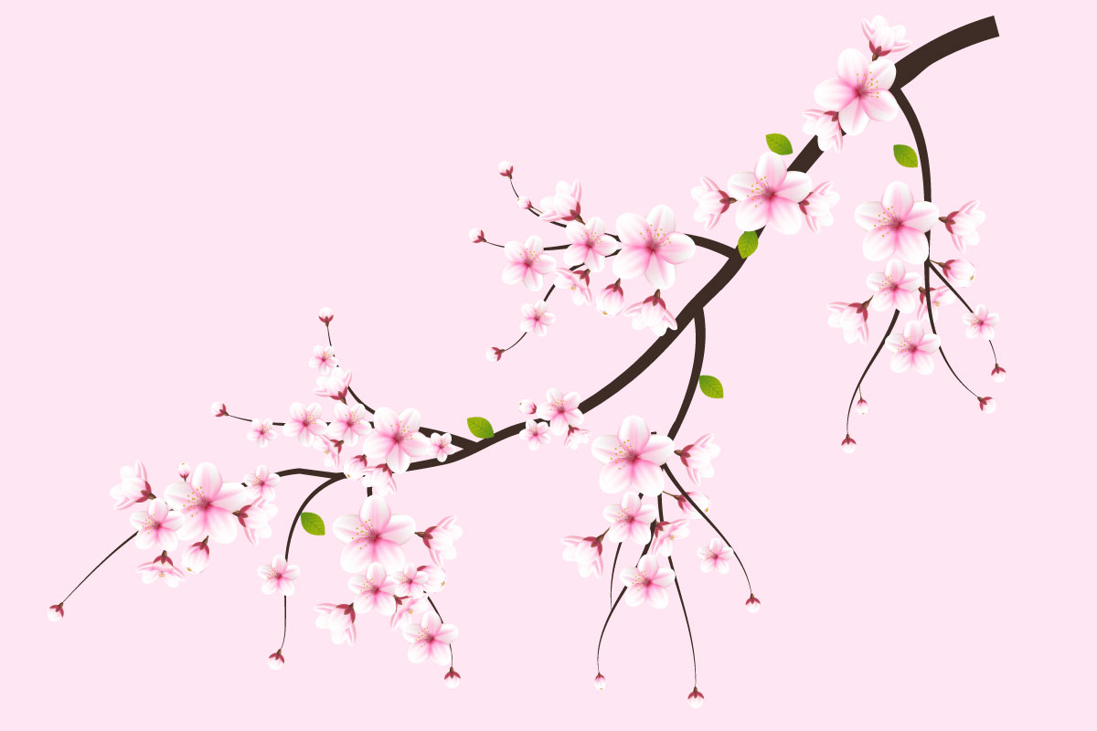 Kit Graphique #336026 Japanese Sakura Divers Modles Web - Logo template Preview