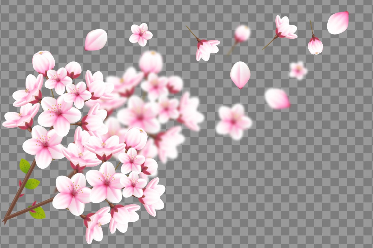 Kit Graphique #336027 Japanese Sakura Divers Modles Web - Logo template Preview