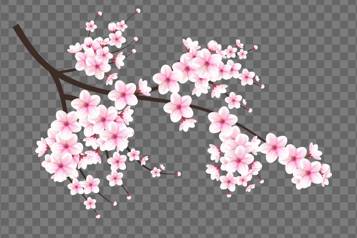 Kit Graphique #336028 Japonese Sakura Divers Modles Web - Logo template Preview