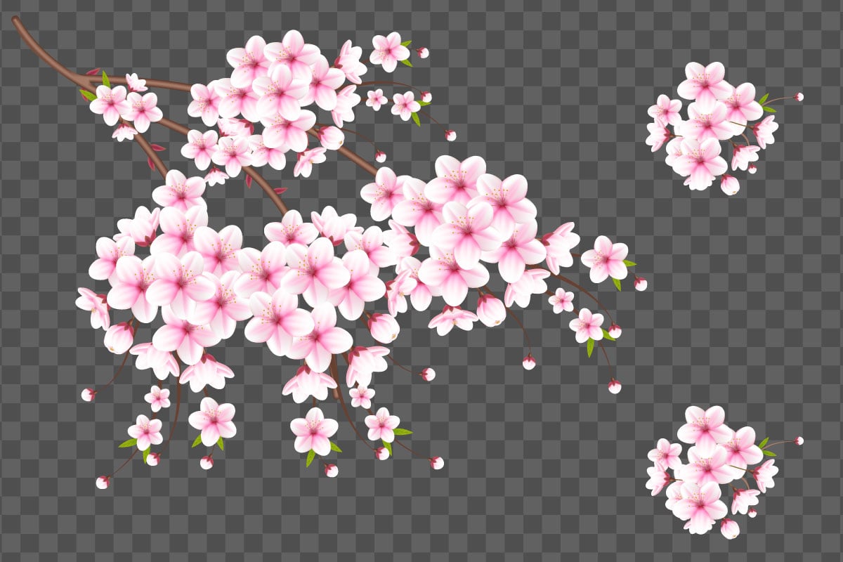 Kit Graphique #336031 Japanese Sakura Divers Modles Web - Logo template Preview