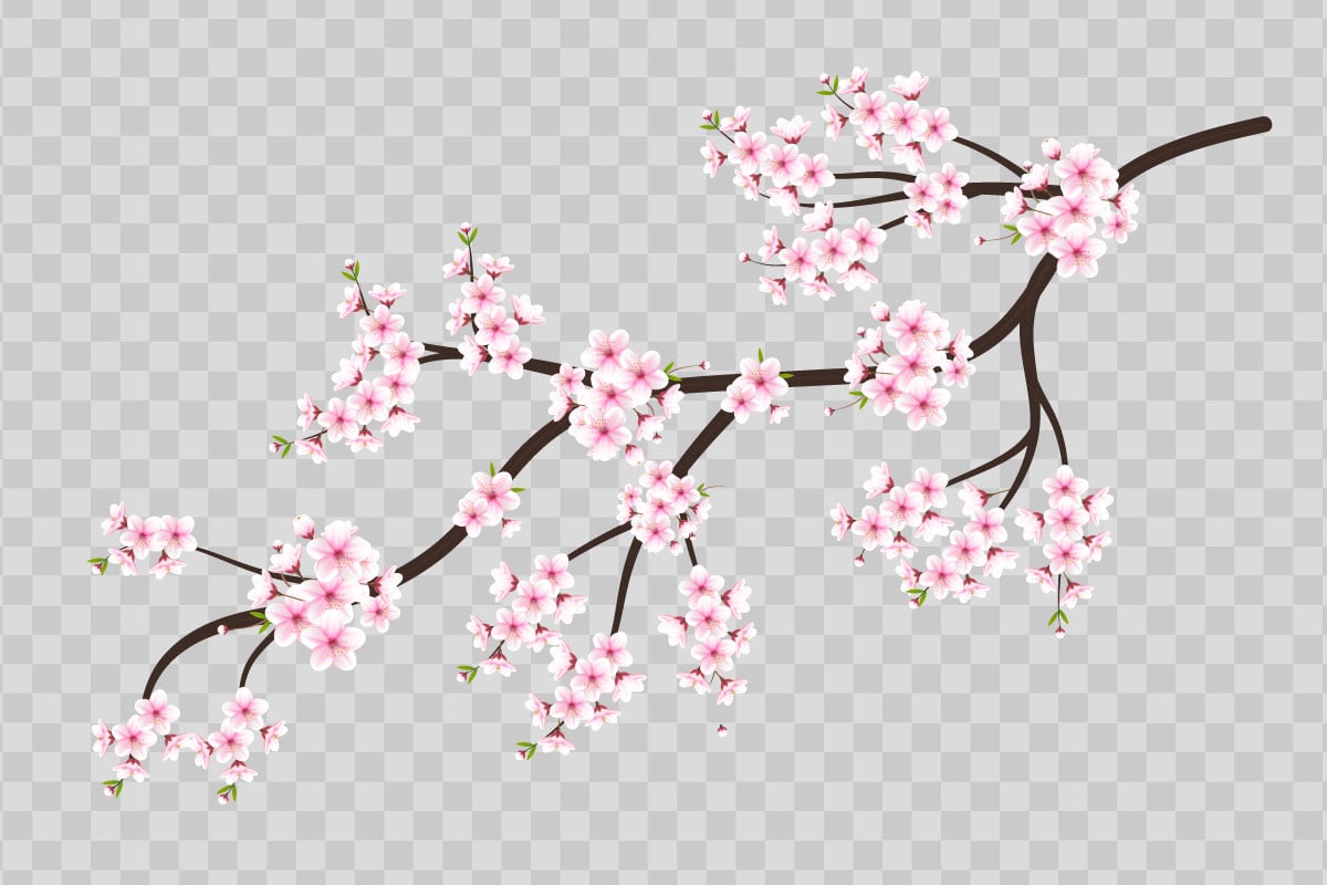 Kit Graphique #336032 Japanese Sakura Divers Modles Web - Logo template Preview