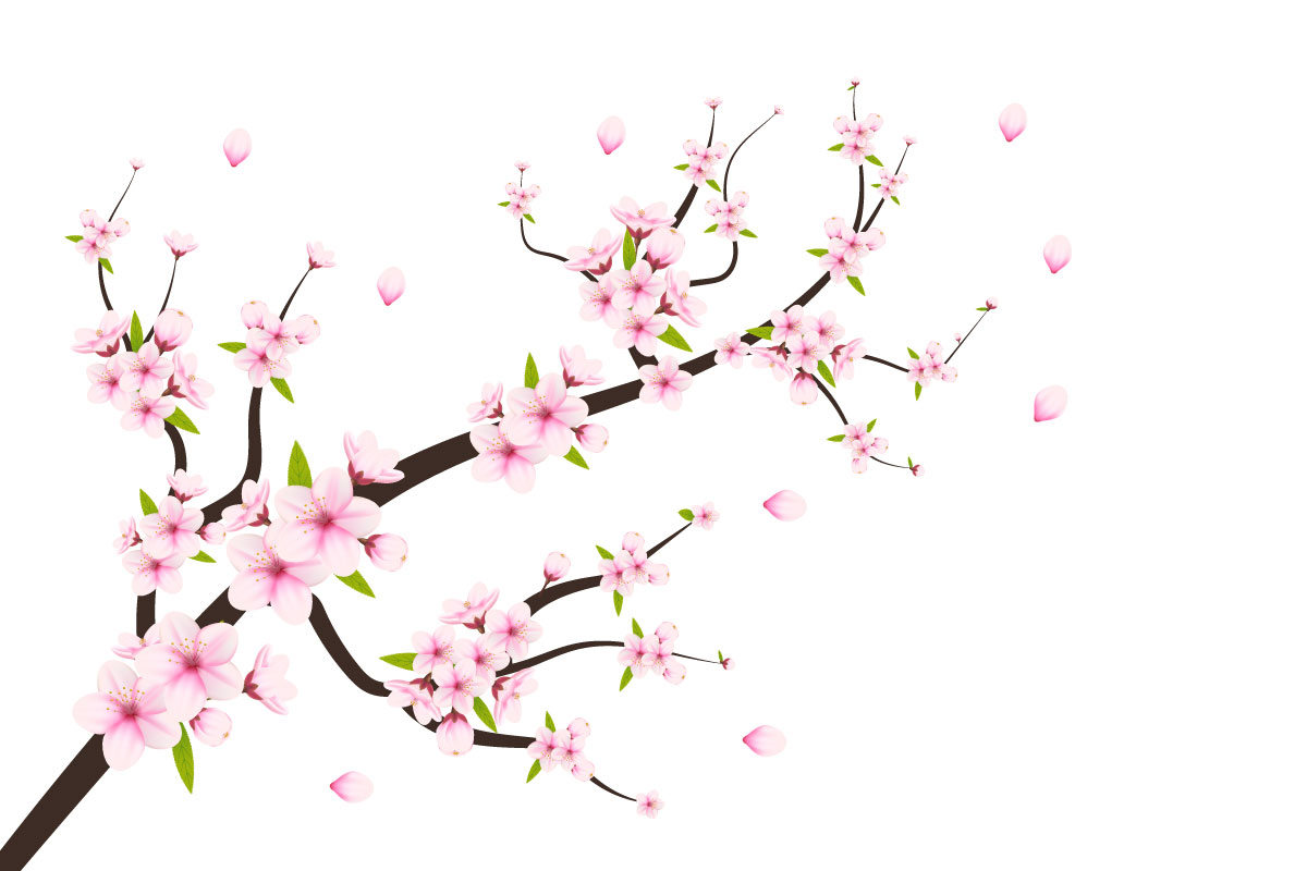 Kit Graphique #336033 Japanese Sakura Divers Modles Web - Logo template Preview