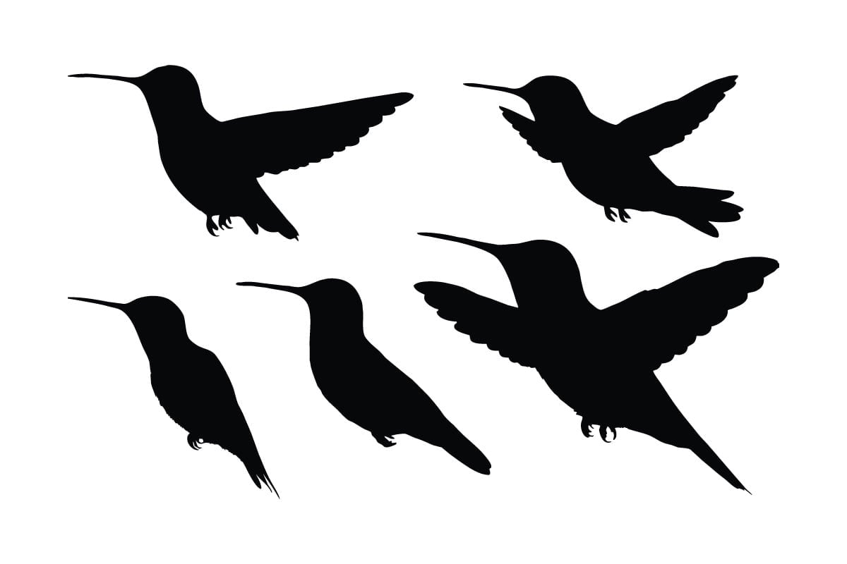 Kit Graphique #336067 Vol Oiseau Divers Modles Web - Logo template Preview