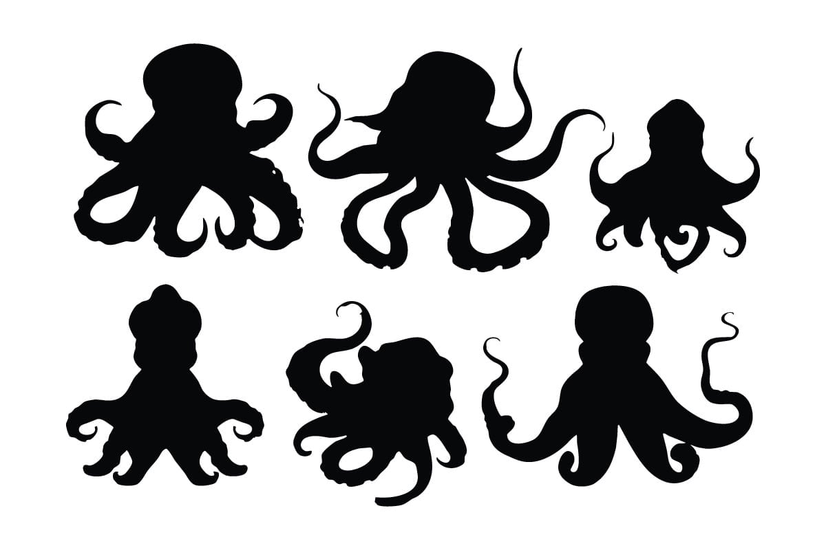 Kit Graphique #336079 Black Octopus Divers Modles Web - Logo template Preview