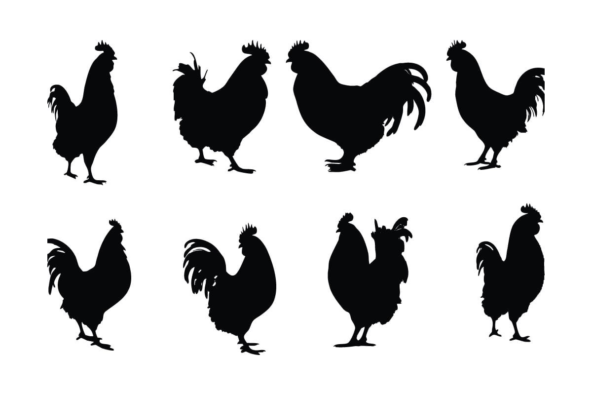 Kit Graphique #336082 Rooster Symbole Divers Modles Web - Logo template Preview